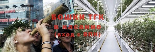 ГАЛЛЮЦИНОГЕННЫЕ ГРИБЫ Лиски