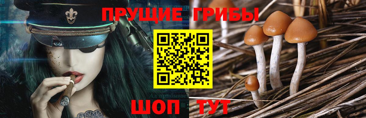 Псилоцибиновые грибы ЛСД  Вход с VPN  Серов 