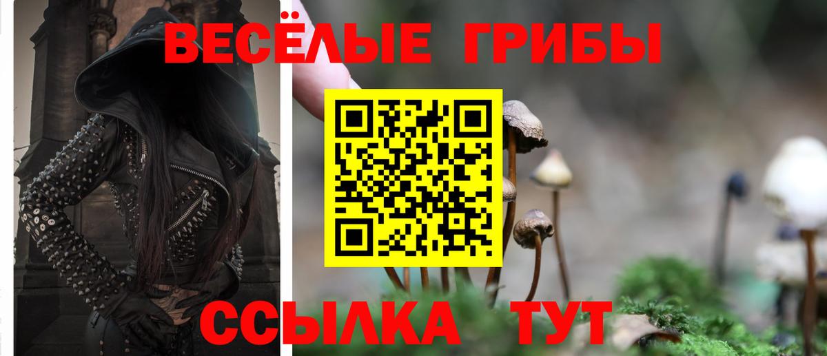 Псилоцибиновые грибы Magic Shrooms Серов
